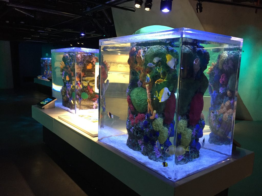 Glass Aquarium Lid - Custom Aquariums
