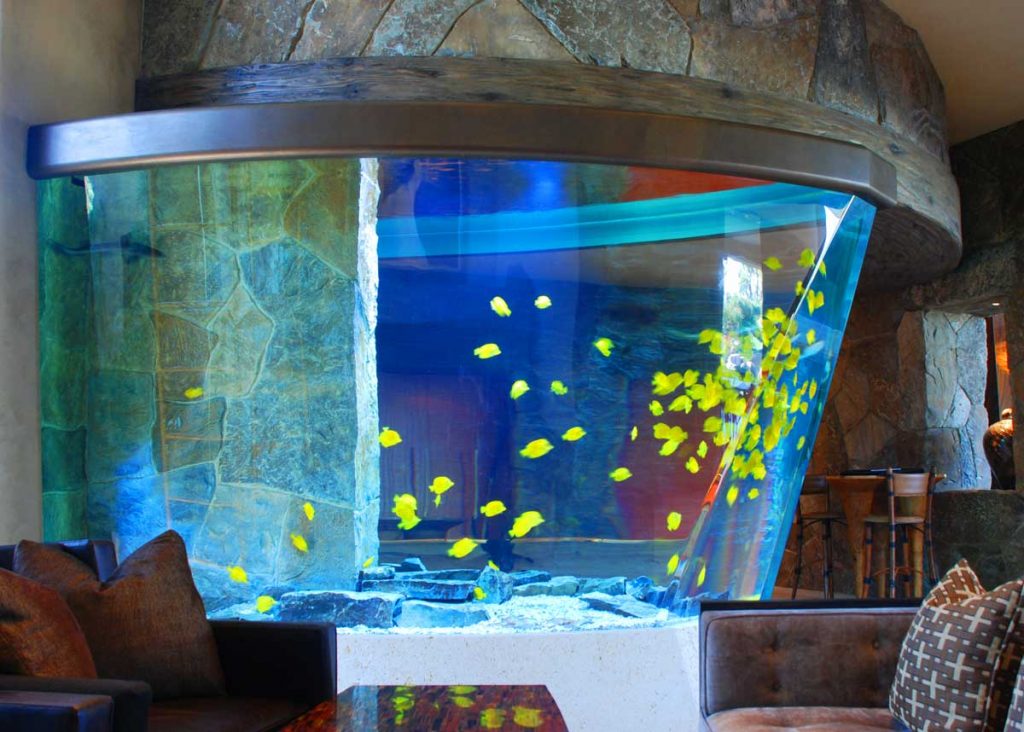 custom aquariums hawaii